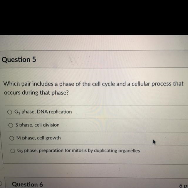 Which pair includes a phase of the cell cycle and a cellular process that occurs during-example-1