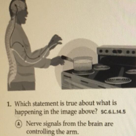 (Science) Which statement is true about what is happening in the image above?(PLEASE-example-1