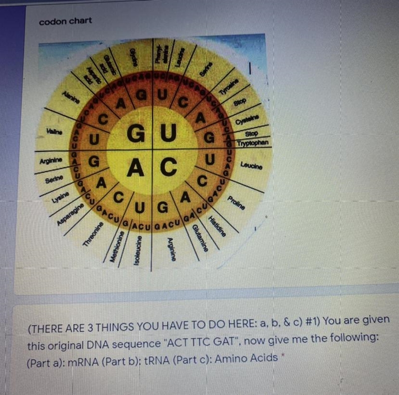 Using this codon chart, can someone help me give my the mRNA,tRNA,and amino acids-example-1