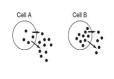 Which cell(s) must use ATP energy to move the molecules out of the cell? (Hint: When-example-1