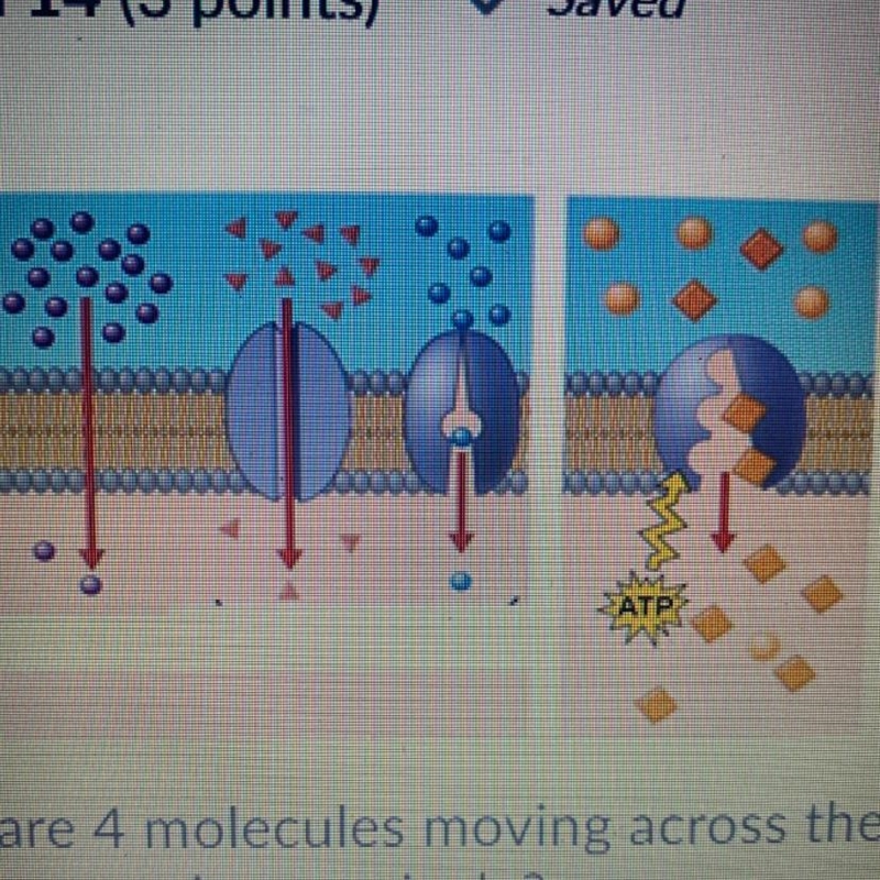 There are 4 molecules moving across the membrane in this diagram. How many of them-example-1