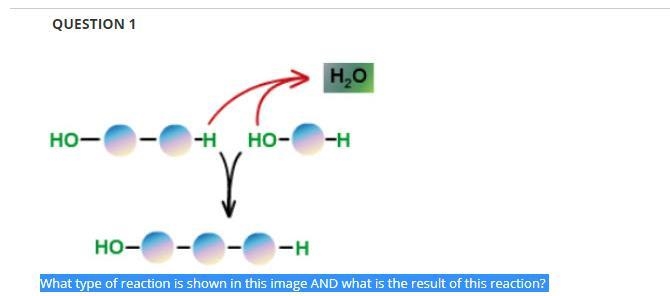 What type of reaction is shown in this image AND what is the result of this reaction-example-1