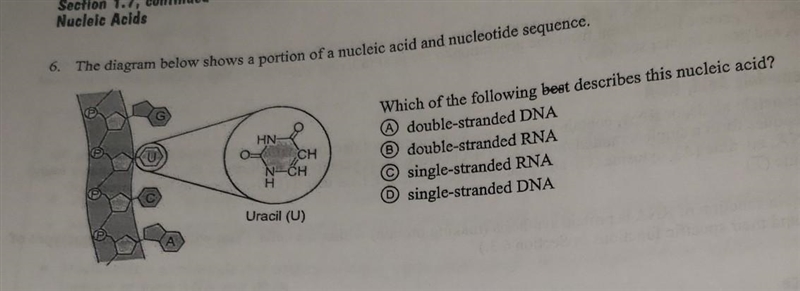 Does anyone know what this is ?? ​-example-1