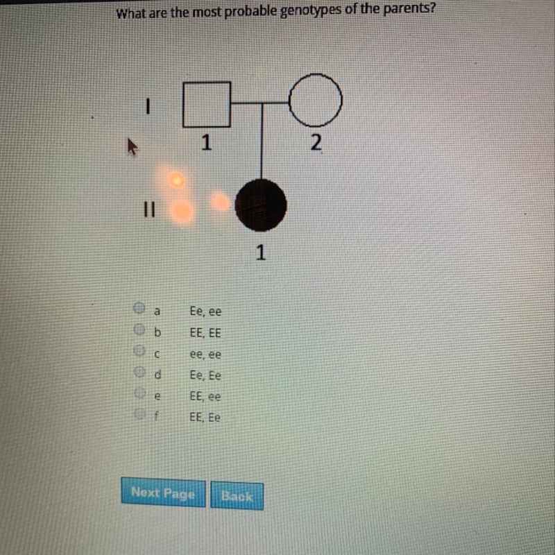 A b c d e f or g ? Zoom if you can’t see-example-1