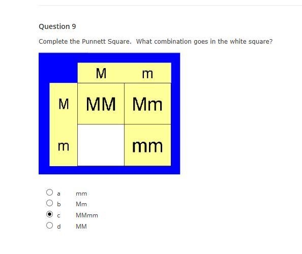 Answer correctly - please-example-3