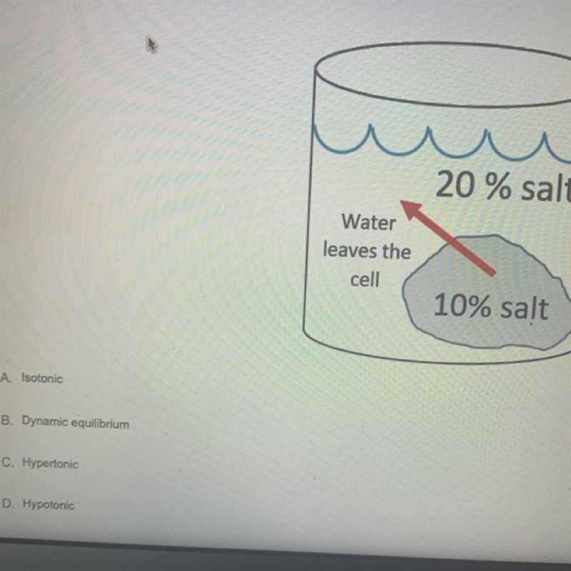 Identify the tonicity of the solution surrounding the cell.-example-1