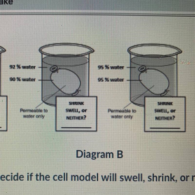 Will the middle one shrink swell or neither and the same with the one on the right-example-1