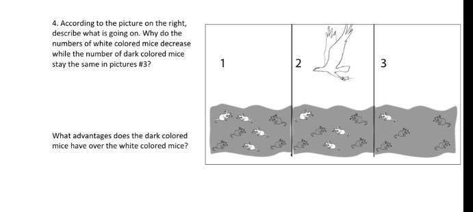 Can you answer this science question for me please?-example-1