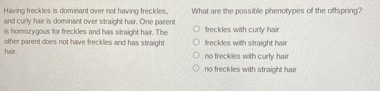 What are the possible phenotypes of the offspring?-example-1