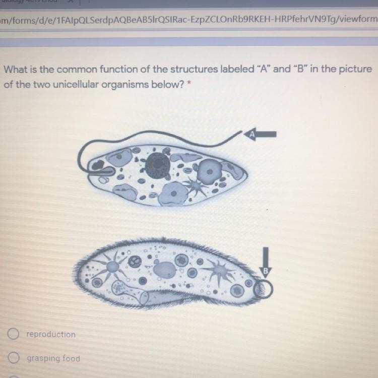 Does anybody know the answer to this?! answer choices are 1. reproduce 2. Grasping-example-1