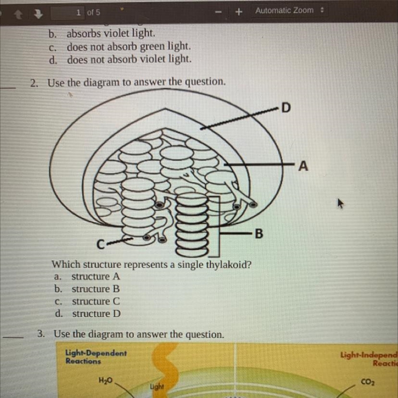 2. Use the diagram to answer the question. Which structure represents a single thylakoid-example-1