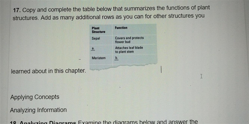 I'm alittle confused on how I'm supposed to answer this could you help me ?​-example-1