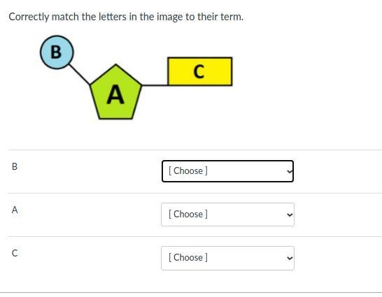 Hey i need bio help asap will give crown-example-1