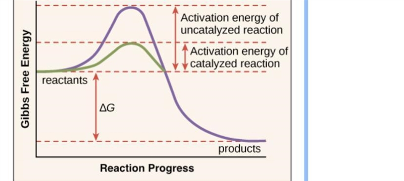 Describe the differences within the two lines in the graph; what does the information-example-1