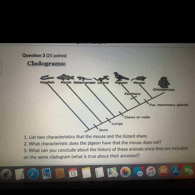 Help meee please!! Asap-example-1