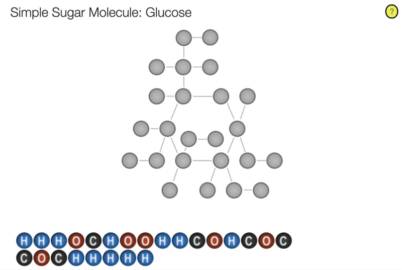 100 points! Complete the simple sugar molecule Glucose. Please fill out the diagram-example-1