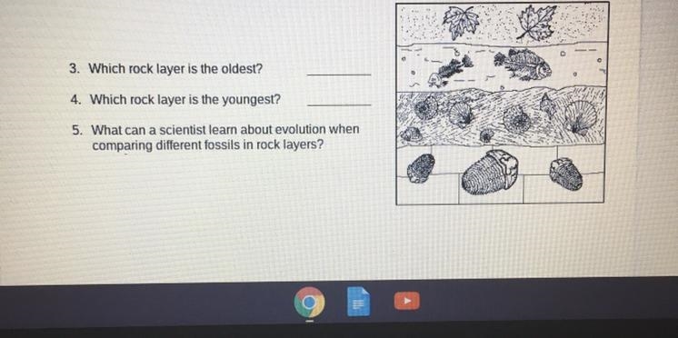 Can you help me with this fossil question please?-example-1