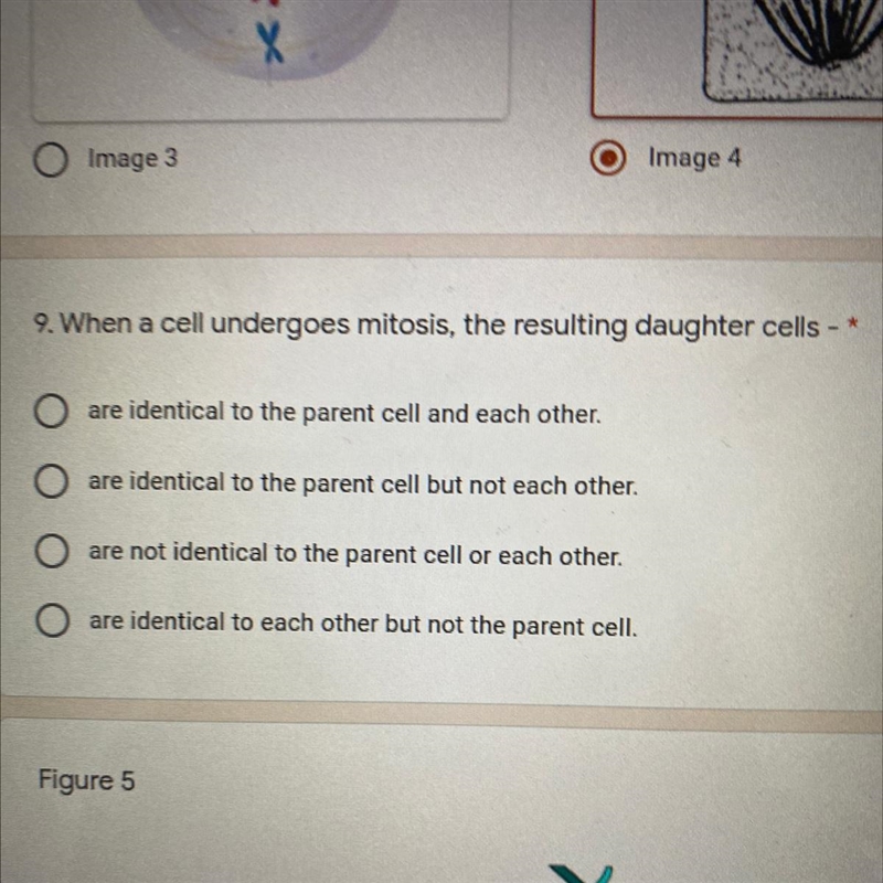 When a cell undergoes mitosis, the resulting daughter cells--example-1