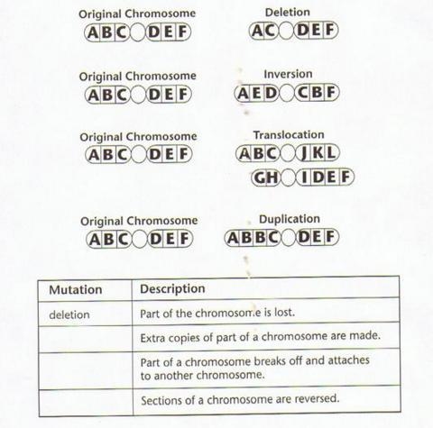 30 POINTSS 1 QUESTION ANSWER CORRECTLY 1. Fill in the blanks in the correct order-example-1