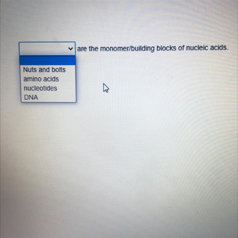 1. Nuts and bolts 2. amino acids 3. nucleotides 4. DNA 6-example-1