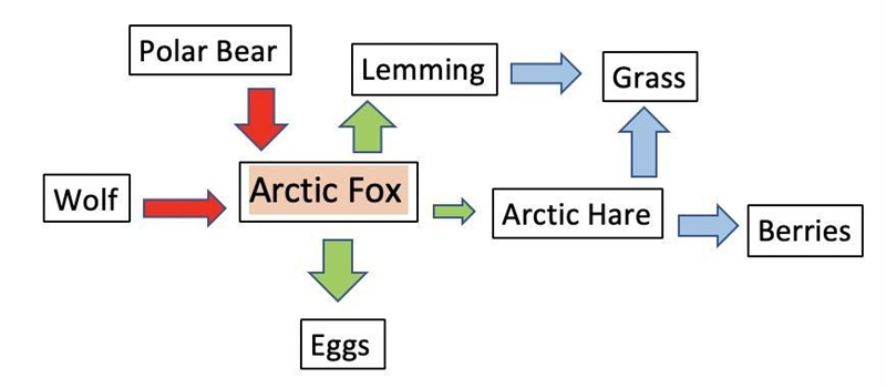 ASAP!!!!!!!!!!!! Write a paragraph explaining the flow of matter through your food-example-1