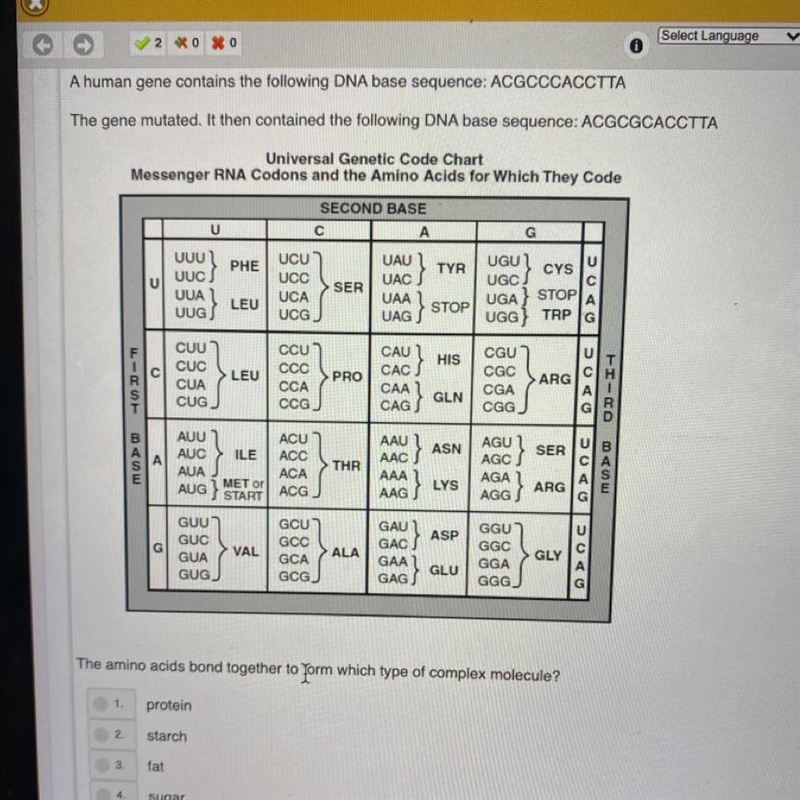 The amino acids bond together to form which type of complex molecule? 1. Protein 2. Starch-example-1