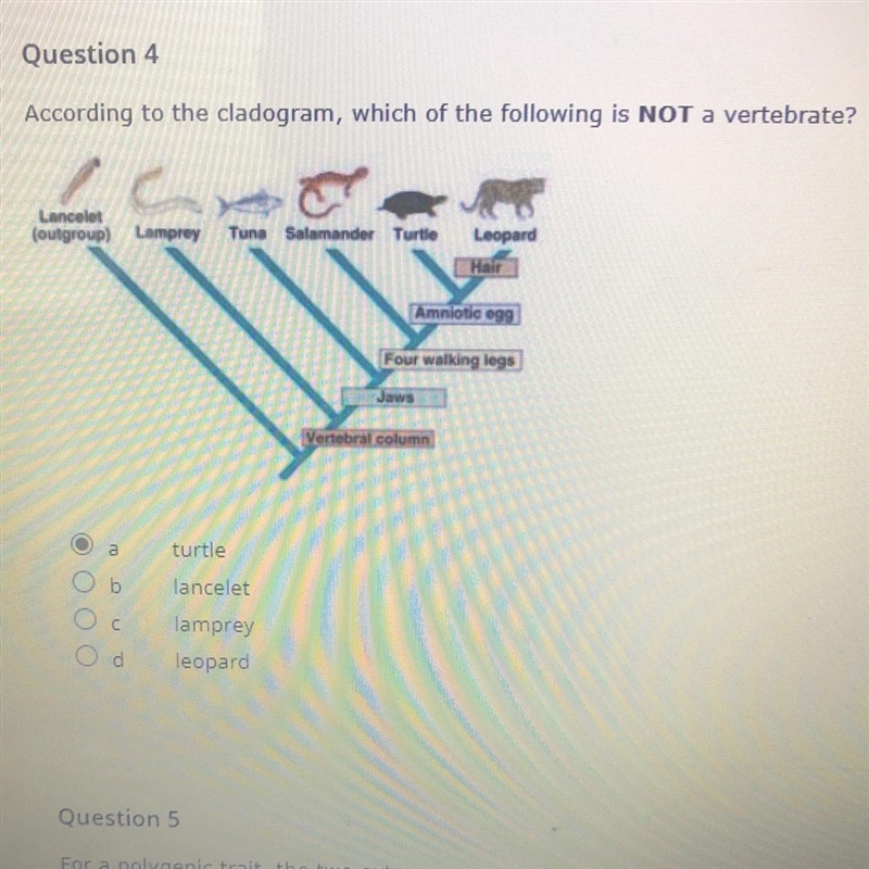 Can someone help me-example-1