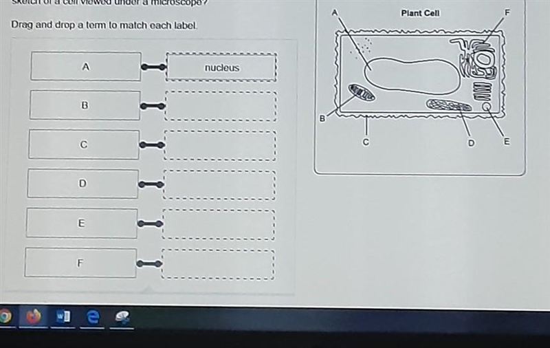 Can someone please help me with this?​-example-1