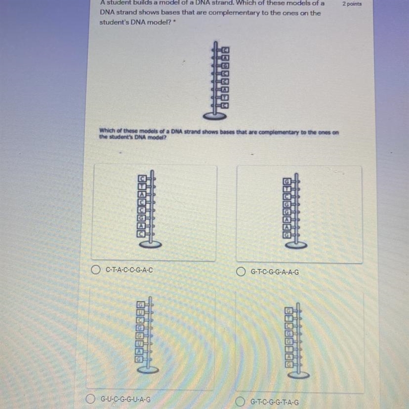 Can someone help me with these this one question?-example-1