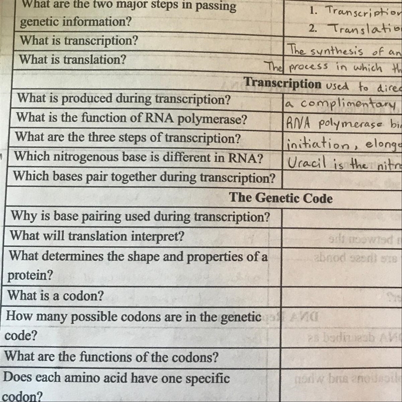 Which bases pair together during transcription?￼-example-1