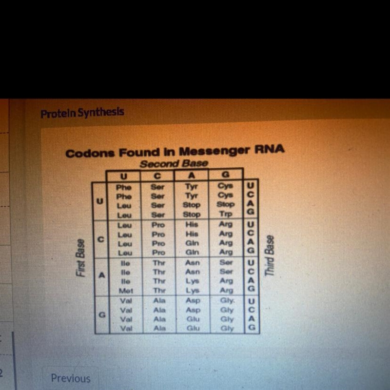 Which of the following codons would signal a tRNA molecule carrying the amino acid-example-1