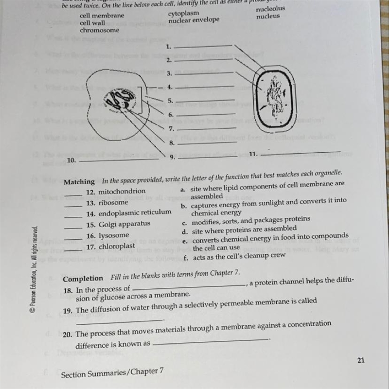 Vocabulary review chapter 7-example-1