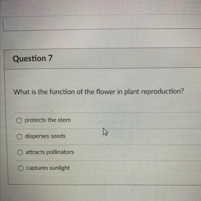 What is the function of the flower in plant reproduction?-example-1