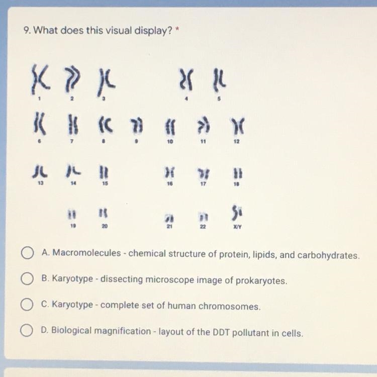 PLEASE HELP IT IS DUE TODAY!-example-1