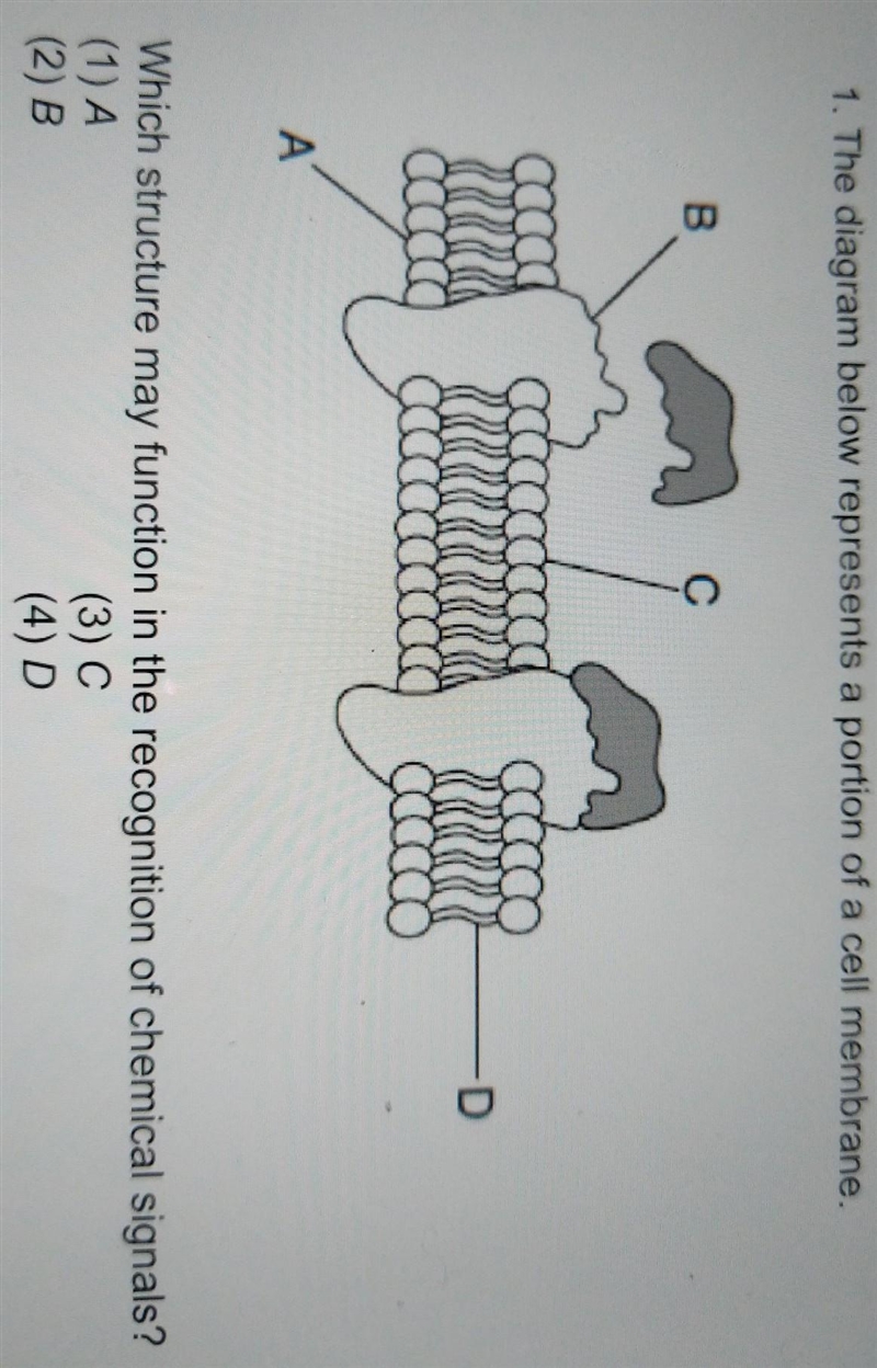 Which one is it plz help​-example-1