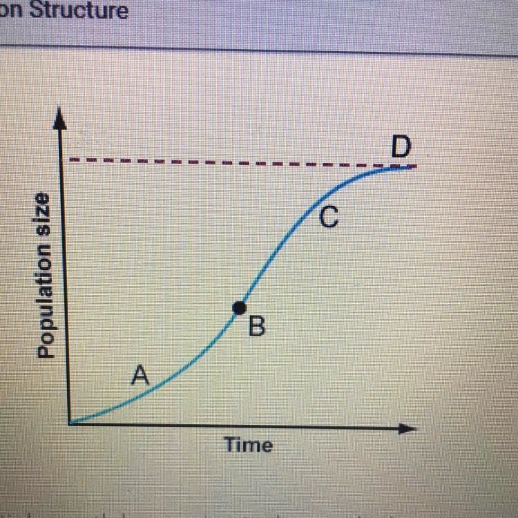 Where is exponential growth happening in the graph shown above? A. Point A B. Point-example-1