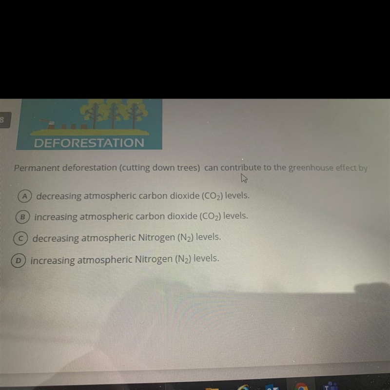 DEFORESTATION multiple choice-example-1