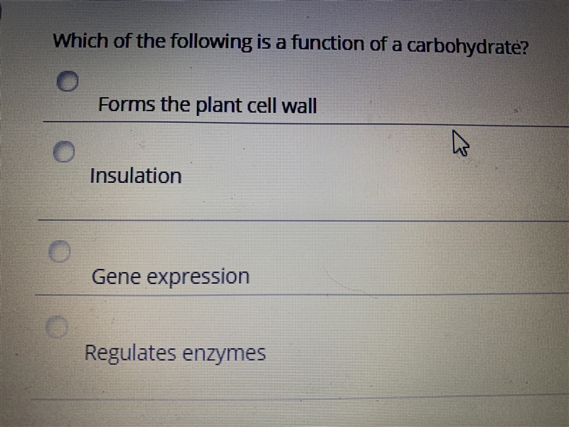 What is the answer to this-example-1