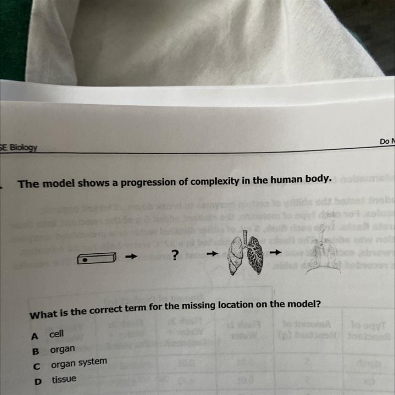 The model shows a progression of complexity in the human body. ? What is the correct-example-1