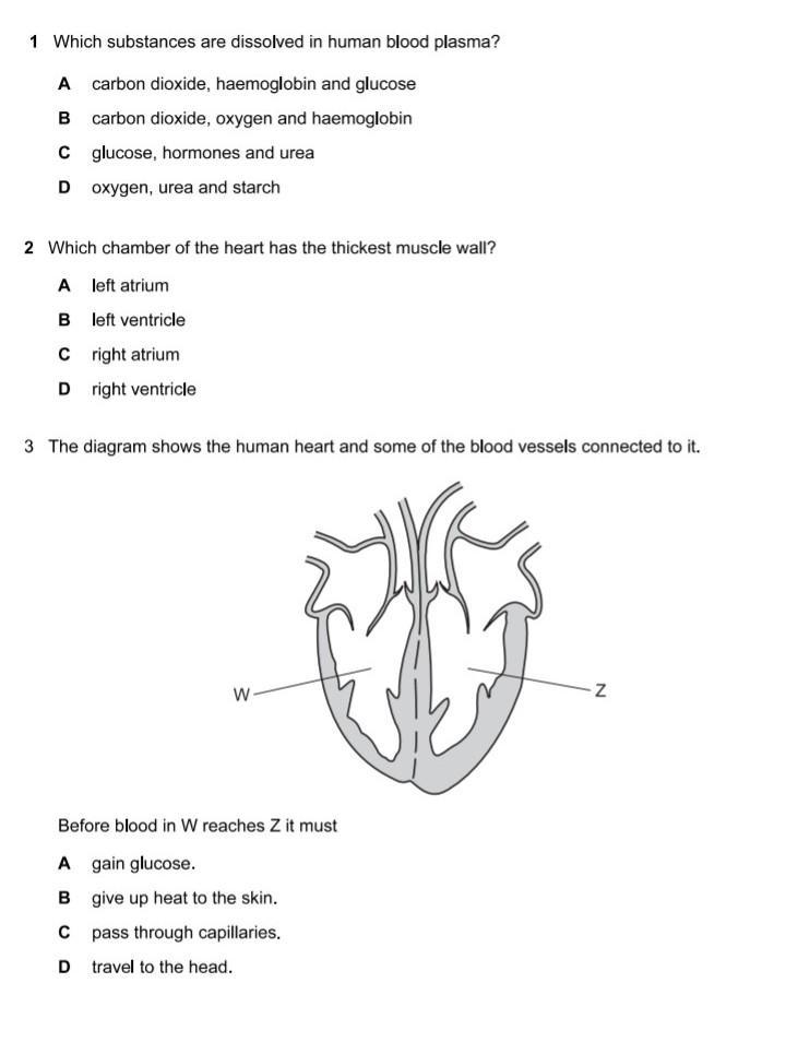 Need help ASAP PLISSSSS ​-example-1