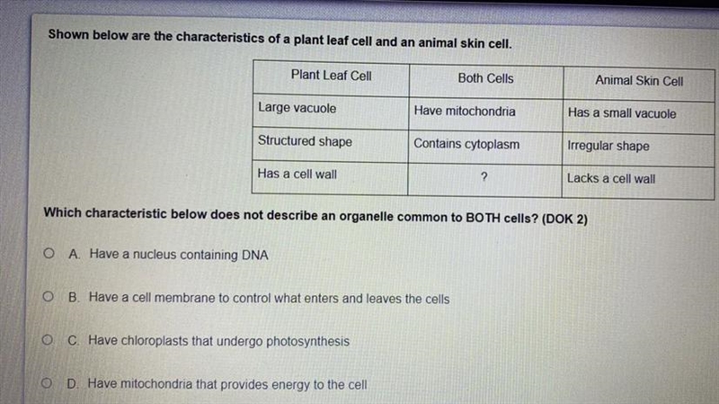 Can someone please help me with this :)-example-1