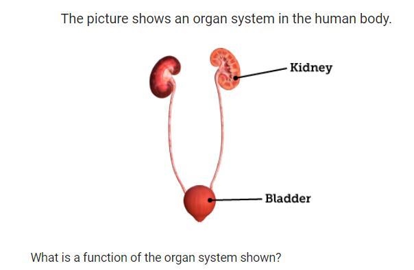 HELP ME PLZZ I NEED HELP WITH THIS ASAP!-example-1