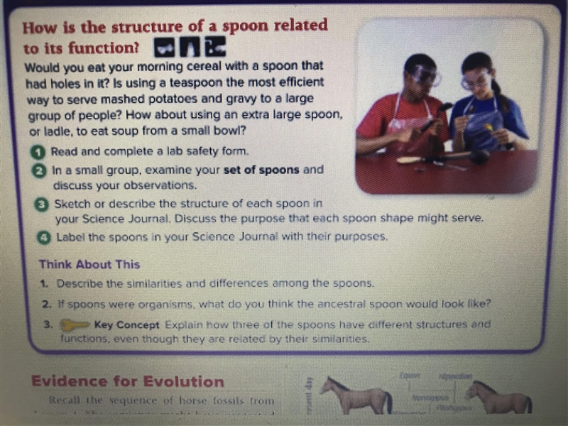 I NEED HELP ON KEY CONCEPT!!-example-1