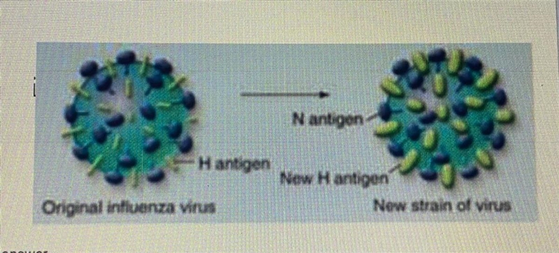 What is the process depicted in this figure and why is it important?-example-1