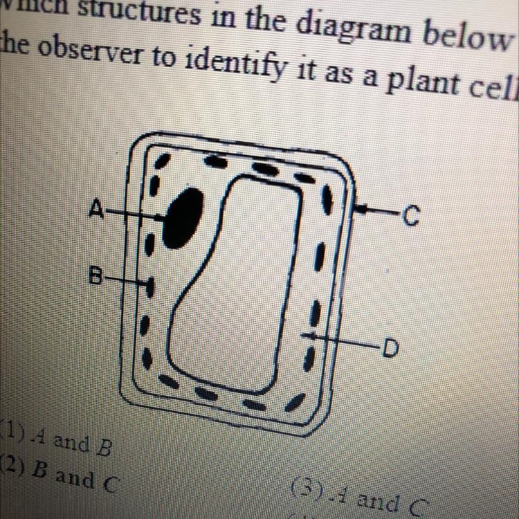 What does B, A, and C represent?-example-1