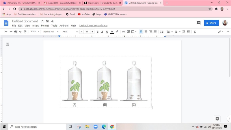 The plant roots being underground respire by using which mechanism? (b) The amount-example-1