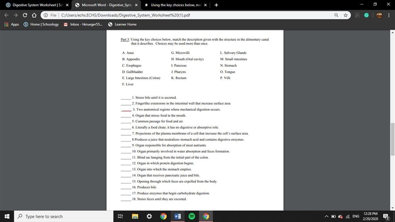 Using the key choices below, match the description given with the structure in the-example-1