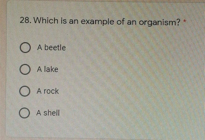 Which is an example of an organism? A. A beetle B. A lake C. A rock D. A shell​-example-1