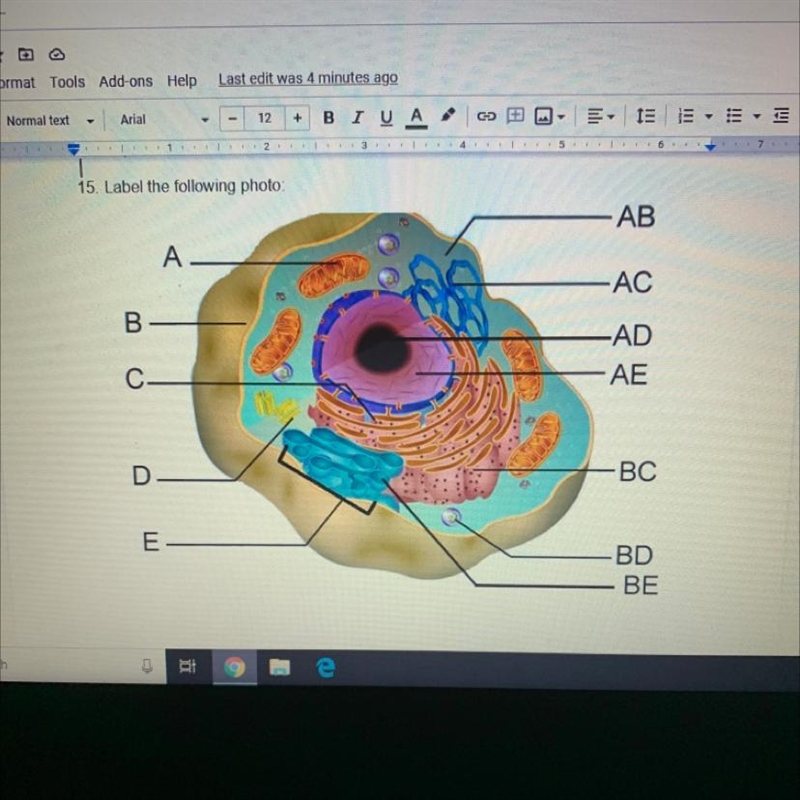 Can someone help me out & labeling the membrane please?-example-1