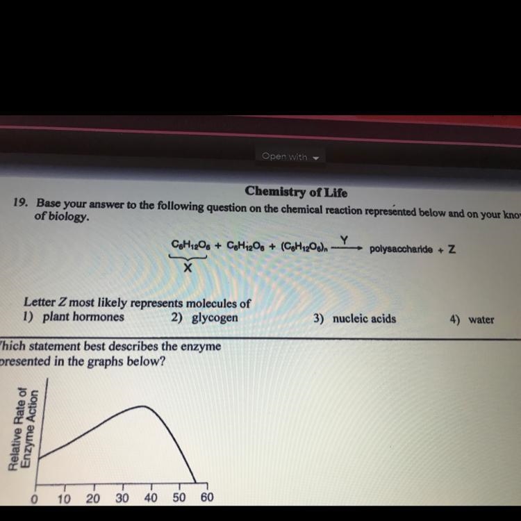 Letter z most likely represents molecules of-example-1